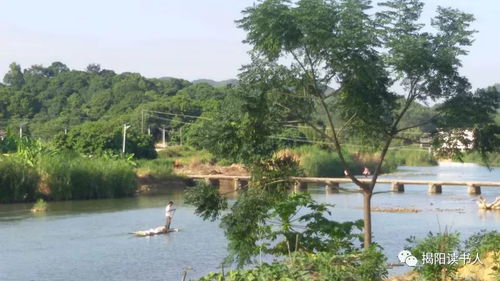 妙艷游記 普寧山中轉悠記