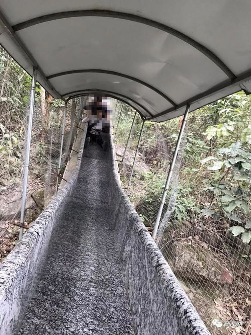 茂名一旅游景區(qū)發(fā)生安全事故1死5傷,你還敢這樣玩嗎
