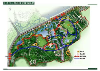 今年去太子灣公園賞櫻觀郁金香要提前預約!預約分上下午場,每場人數5000