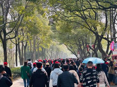 岳麓山、橘子洲景區大客流,景區倡導游客盡量"錯峰出游"