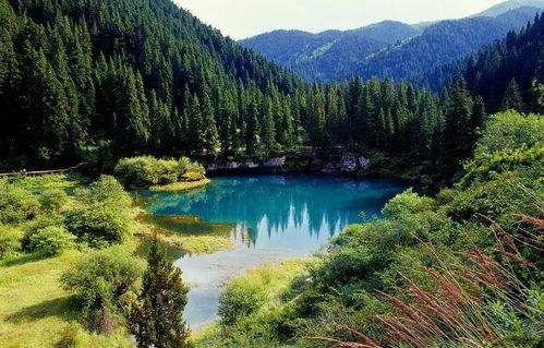 黃龍管理局牟尼溝景區(qū)正式實(shí)施網(wǎng)上實(shí)名制購(gòu)票