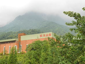 隱藏在5a景區(qū)里的飲料廠,幾乎沒有人沒喝過(guò)他們的產(chǎn)品