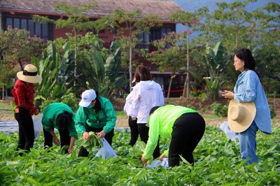 水稻國家公園旅游標(biāo)準(zhǔn)化專項工作簡報第一期