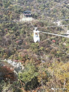 網(wǎng)紅招募令 平頂山交通廣播邀您免費游覽河南天龍池景區(qū)