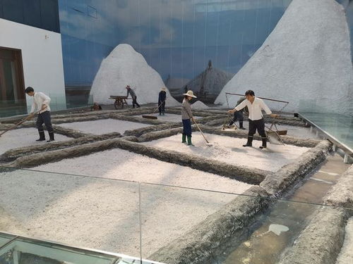 好客山東 百團(tuán)山東行——濱州無棣站活動(dòng)啟動(dòng)，園區(qū)管理服務(wù)協(xié)同助力